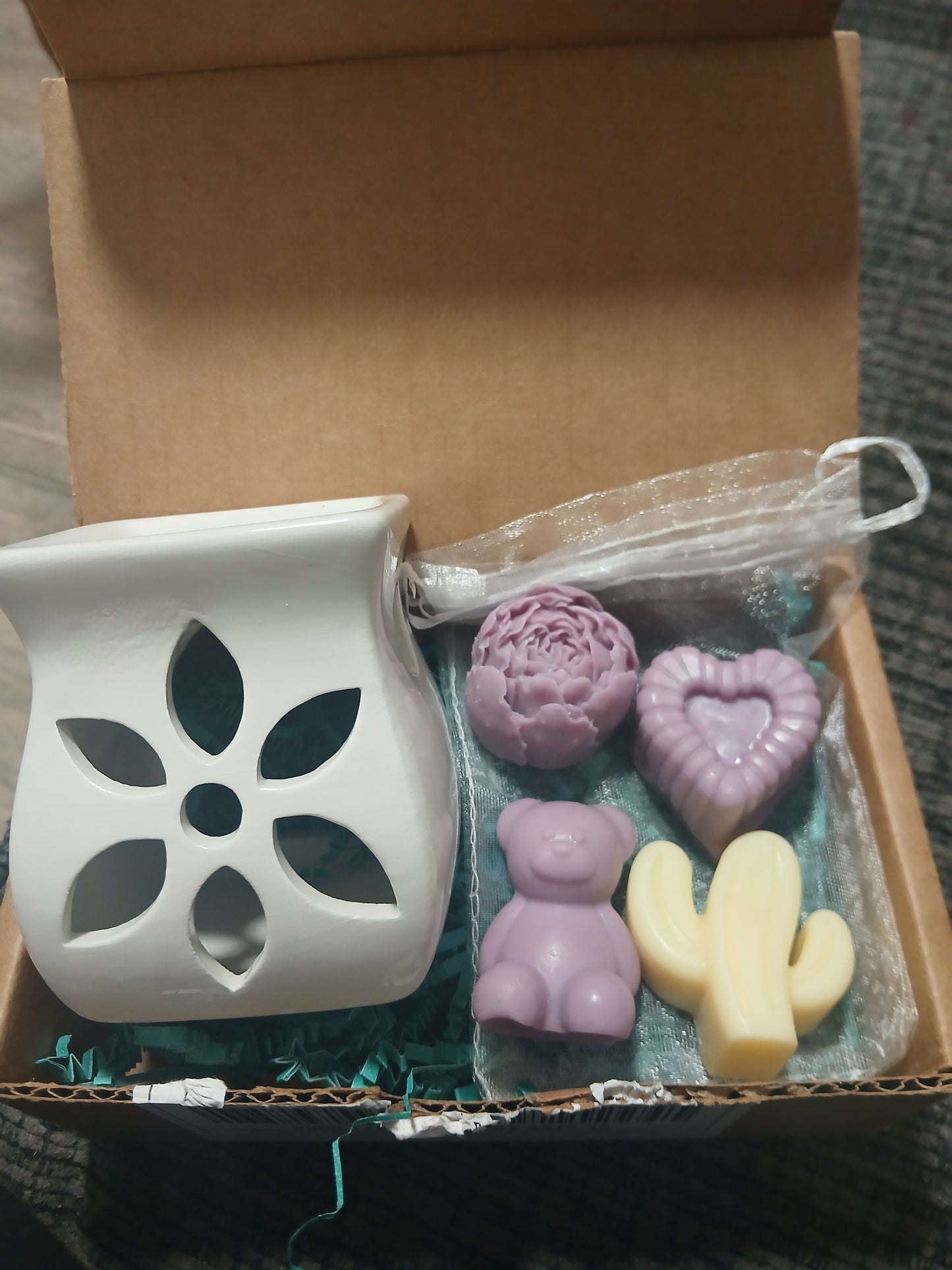 Wax melt warmer & wax melts